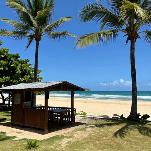 Aloha Turismo: Descubra as Melhores Experiências na Praia do Peró