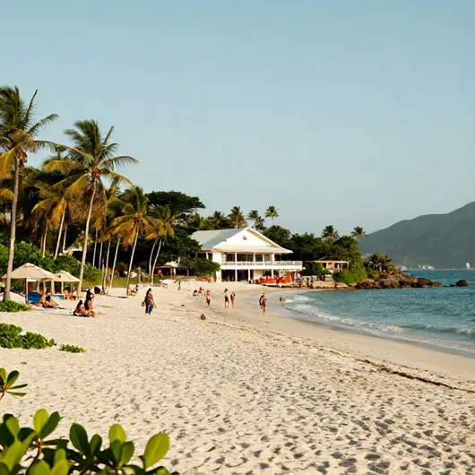 Descubra o Melhor da Private Tour Turismo e Locação