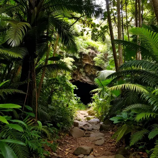 Explorando a Trilha da Caverna dos Escravos